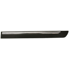 Load image into Gallery viewer, 2006-2008 Mercury Grand Marquis Door Molding - Rear, Driver Side (6W3Z5425557APTM)