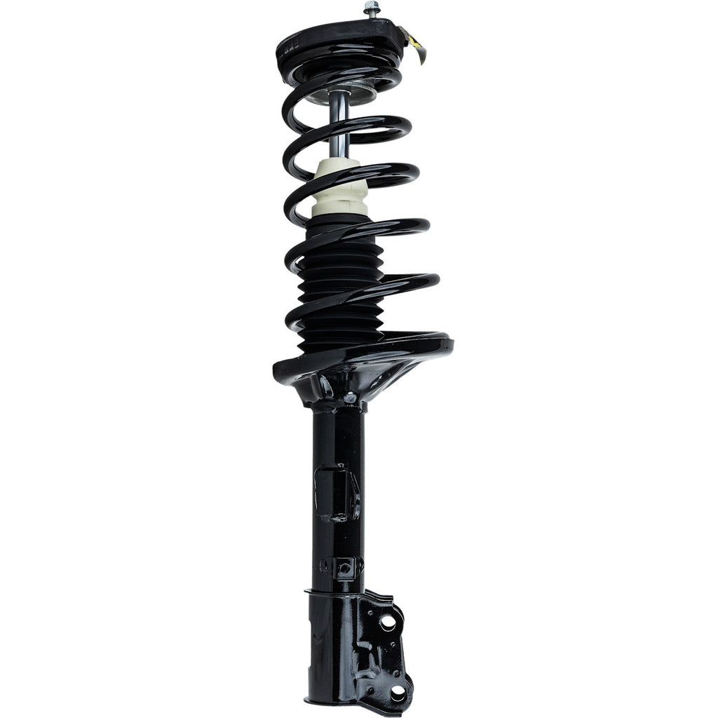 2003-2008 Hyundai Tiburon Shock Absorber - Rear, Passenger Side (172193)
