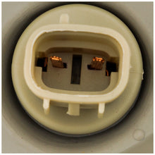 Load image into Gallery viewer, 2005-2011 Toyota Tacoma Fender - Passenger Side, w/ Bulbs, 4WD (8111004163)