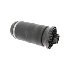 Load image into Gallery viewer, Corteco 2006-2019 Mercedes-Benz Strut - Rear, Driver or Passenger Side (1643200225)
