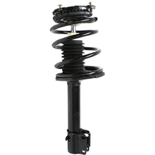 Load image into Gallery viewer, 1995-1999 Dodge Neon &amp; Plymouth Neon Shock Absorber - Rear, FWD (16553946)