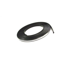 Load image into Gallery viewer, Precision Parts 1978-1979 Ford Door Molding (WLS 100)