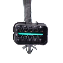 Load image into Gallery viewer, Product Image