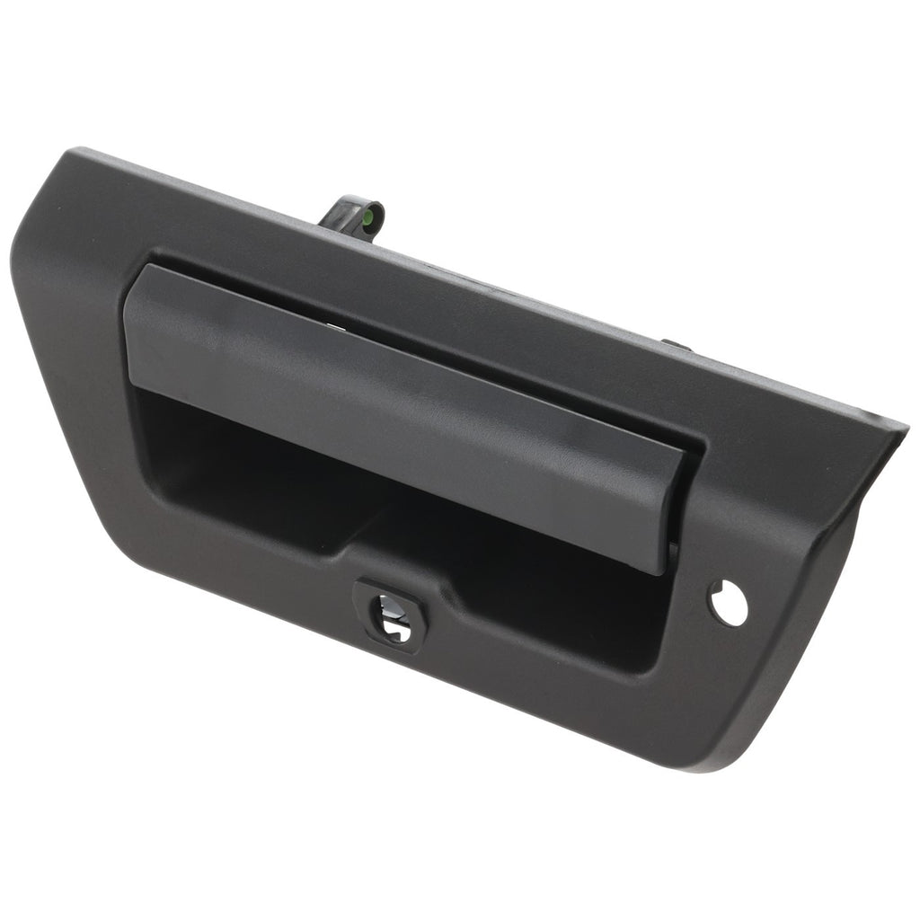 2015-2017 Ford F-150 Body Panel - Textured Black (FL3Z9943400AAPFM)